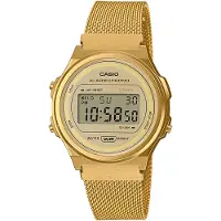 Vintage montre Femme A171WEMG-9AEF