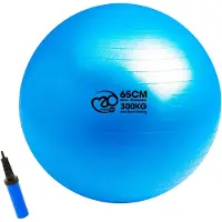 Fitness-Mad 300kg Anti-burst Swiss Fitball Doré 65 cm