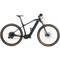 Sants E-sm 3.0 Pro Steps Ep801 29´´ U8000gs Cues 11s Mtb Electric Bike Bleu XL / 630Wh