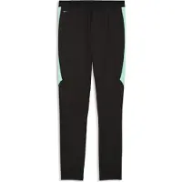 Puma Hommes, Bas de sport, SFV Training Pants w/ pockets (XL), Noir, Vert