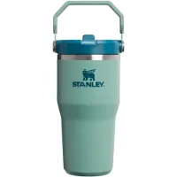 Stanley IceFlow Flip Straw 2.0 Tumbler gourde thermos en acier inoxydable Spring Green 1 pcs