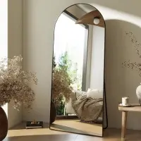 Youjia Miroir sur pied Miroir en pied bombé, style moderne, sur pied ou à poser, cadre en aluminium, décoration d'intérieur simple pour le vestiaire ou le salon, 23''x65'', noir, 165 cm, 57 cm