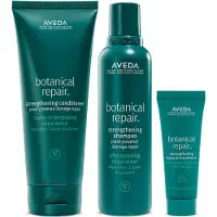 Aveda - Botanical Repair Leave-in Treatment Traitement Réparateur