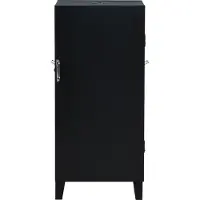 Mustang Cold Smoke Cabinet