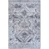 Hanse Home Villeroy & Boch 1767 Tapis d'intérieur et d'extérieur Esther Crème Gris