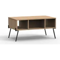 CALICOSY - Table Basse 1 Porte 3 Niches et Pieds en Métal L100 cm - Evan