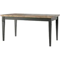 Meublorama Table extensible jusqu'à 240cm pour salle à manger Collection ASSIA. Coloris vert et chêne