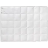 Sonstige Verlage Couette GÄNSEDAUNEN 70% 220x200 Basic Plus 2000g PREMIUM blanc