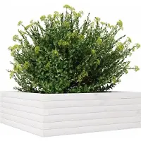 vidaXL Jardinière blanc 70x70x23 cm bois de pin massif