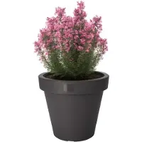 Ecken & Kanten Bac à plantes Pot de fleurs Ø25cm hauteur 22cm anthracite (25 x 22 cm)