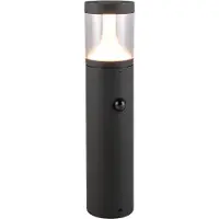 TRIO Lampe de jardin Tagus anthracite 50 cm avec capteur