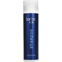 Stapiz BARBET MEN Shampooing hydratant pour hommes pour le corps et les cheveux HYDRATING - 250ml