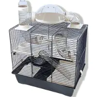 Gebr. De Boon Cage pour hamster Interzoo Rocky plus, noire/noire. Fabricant : Interzoo