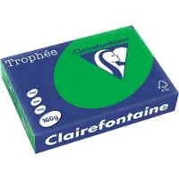 Clairefontaine Vert Billard Papier couleur A4 210 g/m² (250 feuilles)