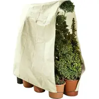 Maximex Non-tissé de protection des plantes 240 x 200 cm