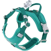 Hurtta Weekend Warrior harnais II ECO peacock (turquoise), taille : 55-70 cm