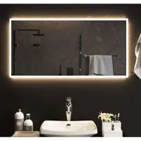 vidaXL 2025 cloris Miroir de bain LED 100x50 cm - Miroir mural Vente2943876 1parcel