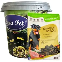 Lecker.Pet 4 kg de croquettes Gino's Adult Maxi au poulet pour chien adulte, aliment complet en boîte de 30 L