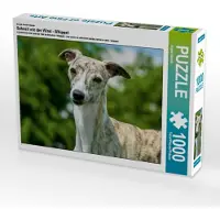 CALVENDO : un motif tiré du calendrier « Rapide comme le vent » - Puzzle de 1 000 pièces représentant un whippet, format horizontal 640 x 480 mm, Starick Sigrid ; 7355692