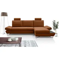 Domo DomoHome LOFT Canapé d'angle Avec Couchage Extensible Coffre De Lit Et Appuie-têtes Et Accoudoirs Réglables, Droit Layout 284cm Largeur 96-166cm Profondeur 89-104cm Hauteur Couleur : Platine
