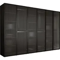 3Xeliving Armoire, noir graphite / verre clair, 3 x 100 x 200 x 51 cm