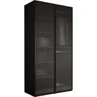 3Xeliving Armoire, noir graphite / verre transparent, 100 x 200 x 51 cm