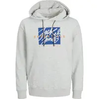 Jack & Jones Colton Hoodie Gris L Homme