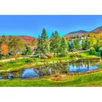 Bluebird Puzzle Stowe, Vermont, USA 1000 pièces