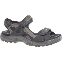Ecco Sandales 'Sandale Herren 069564 50034 Rauleder in schwarz' noir