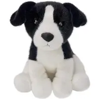 Beppe Border Collie, 25 cm