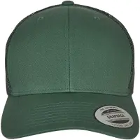 Flexfit Casquette émeraude