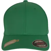 Flexfit Casquette vert