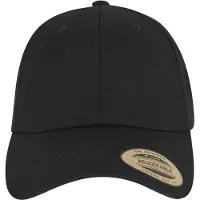 Flexfit Casquette noir