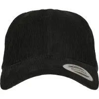 Flexfit Casquette noir