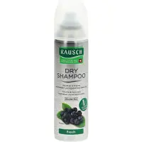 RAUSCH Shampooing sec frais 150 ml Spray