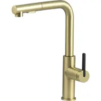 Deante Kitchen faucet with pull-out spout