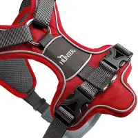 Hunter Harnais Divo Rouge/Gris - S / M