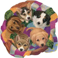 Sunsout Puzzle Litter of Puppies - 750 pièces animaux