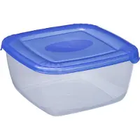 PLAST TEAM Vertriebs GmbH plast team Boîte de congélation Polar 0,46 litre bleue carrée
