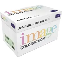Image Coloraction Kopipapir Coloraction A4 120g Forest Pastel Green 250ark/pkt - (250 ark pr. pakke) (A4, 250 feuilles, 120 g/m²)