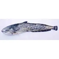 Gaby The Catfish Giant Pillow Pillow Bleu
