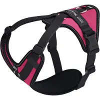 JULIUS K-9 Longwalk Light Dog Harness Rose M