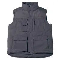 B&C - Gilet « Expert Pro » pour hommes/femmes Unie LT1341 (4XL) (gris foncé uni)