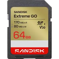 SanDisk Extreme GO, 64 Go, SDXC, UHS-I, 170 Mo/s, 80 Mo/s, Classe 3 (U3)