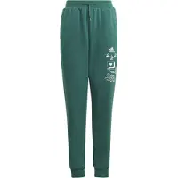 Adidas Jogging enfant BLUV Q3 PANT garcons - Vert - 13 / 14 ans