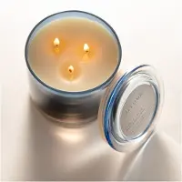 Illume Bougie parfumée Citrus Crush bleu