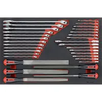 Teng Tools Jeu de clé & limes 32pcs EVA-tray TTEX32