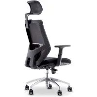 Urban Factory Chaise de travail ergonomique Noir