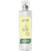 Nature & Senteurs Cedrat Flor Estrella Colonia 100ml Clair Enfants