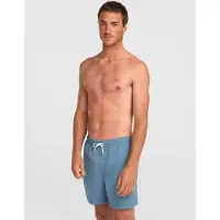 O'Neill Shorts de bain 'Vert' bleu-gris